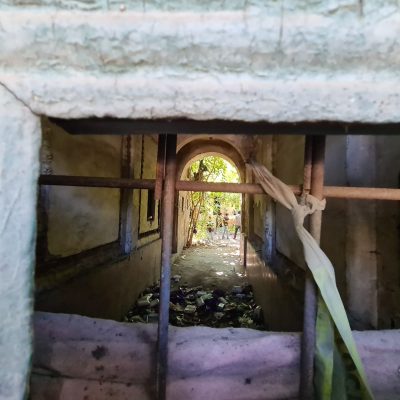 956a40ea-0518-45e9-86d9-4aee6e4ba613